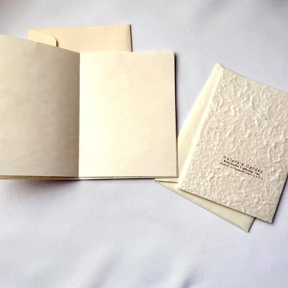 Frog and butterfly textured paper greeting card set of two